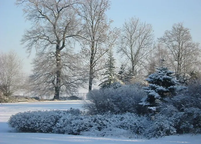 Chateau De Limont Отель 3*